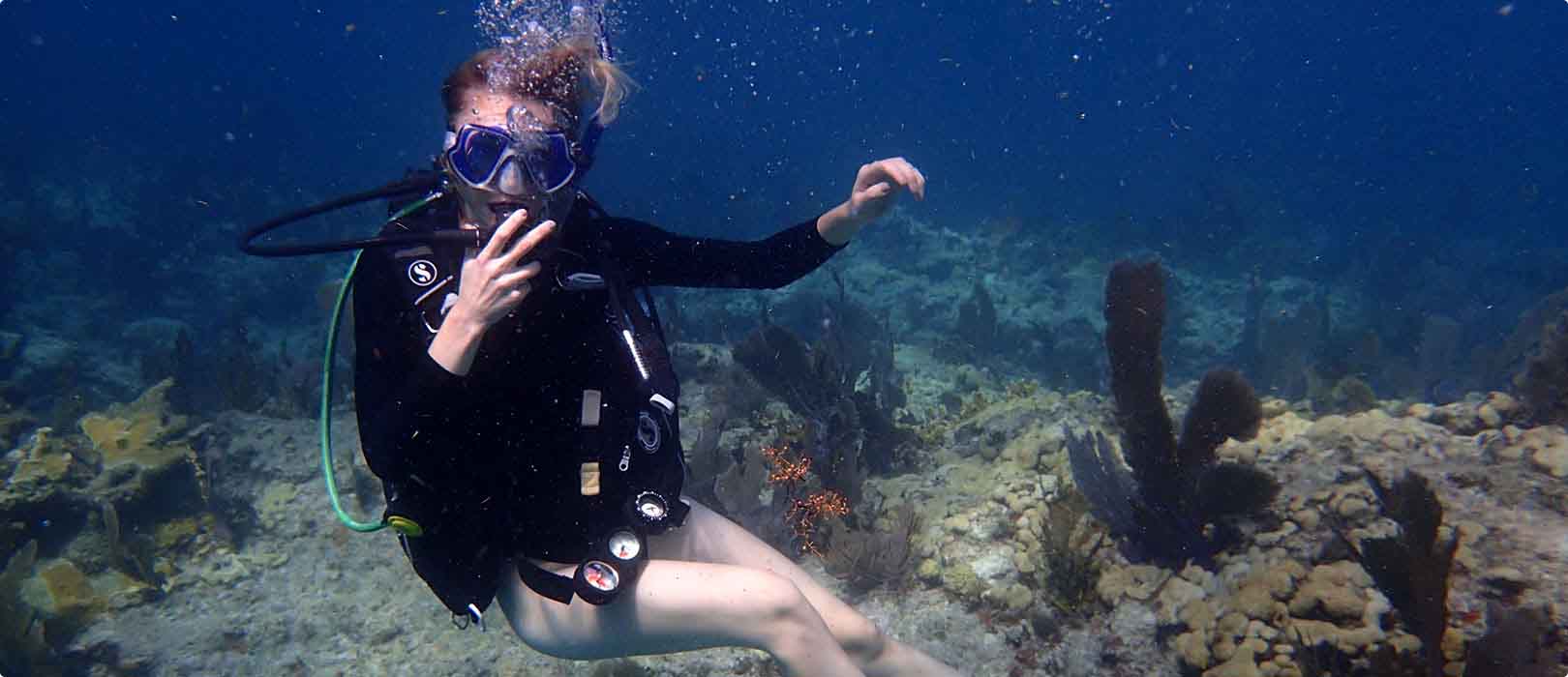 Adventure Diving Bali - 九游